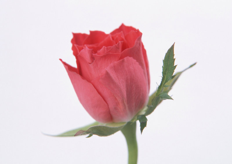 韩东君人品好吗_韩东君老婆是哪个