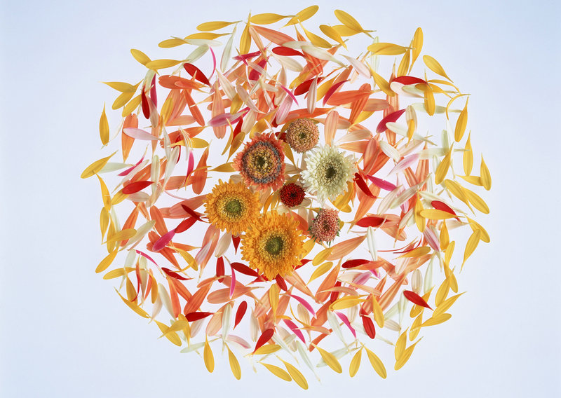 欧洲总人口  欧洲总人口2021年是多少亿