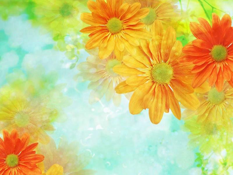 歌手携帮唱齐亮相《我是歌手4》红毯引尖叫