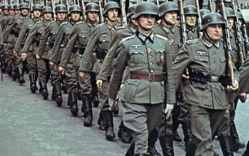 多年前的短片 明星(王菲时隔18年再合作王家卫 多年前的短片 明星(王菲时隔18年再合作王家卫