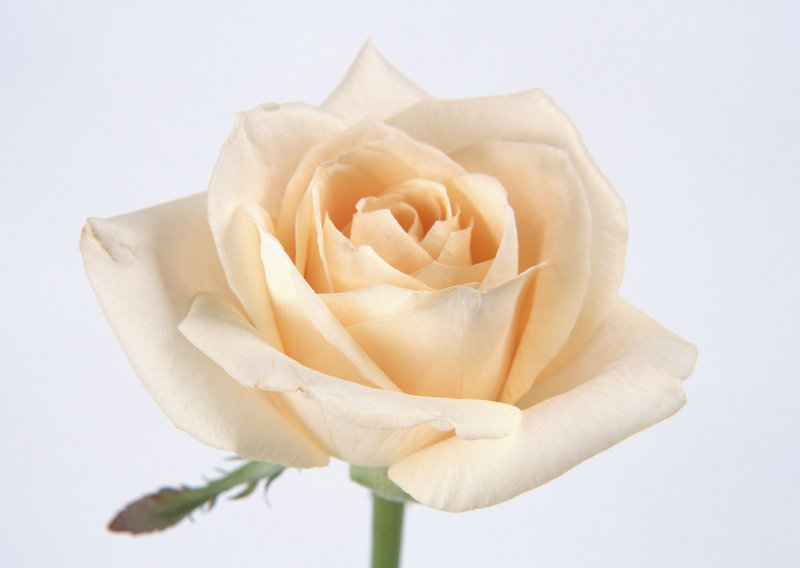 黑暗餐厅_黑暗餐厅的主题和理念