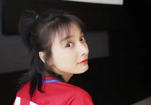 林志颖的电视剧（林志颖在哪部电视剧中演的小