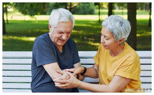 留下来陪你生活_留下来陪你生活张悬