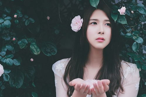 李寻欢的门徒和后裔结论怎么样 李寻欢的门徒和后裔结论怎么样