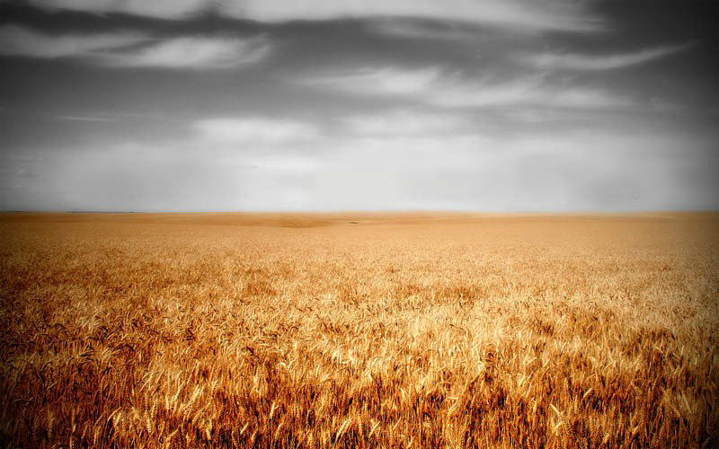 闪电有多粗 闪电有多大粗 