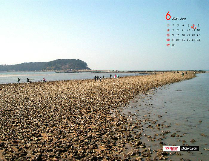 厦门远华特大走私案