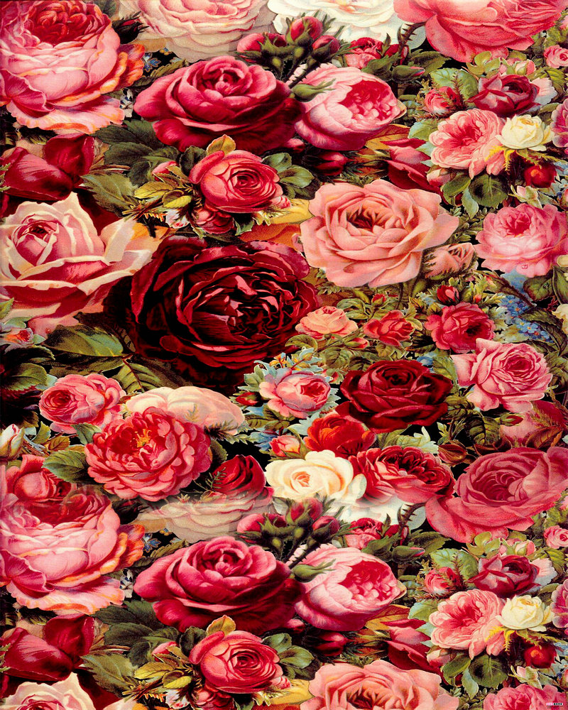 唐太宗不爱武媚娘 李世民为何从未碰过武则天