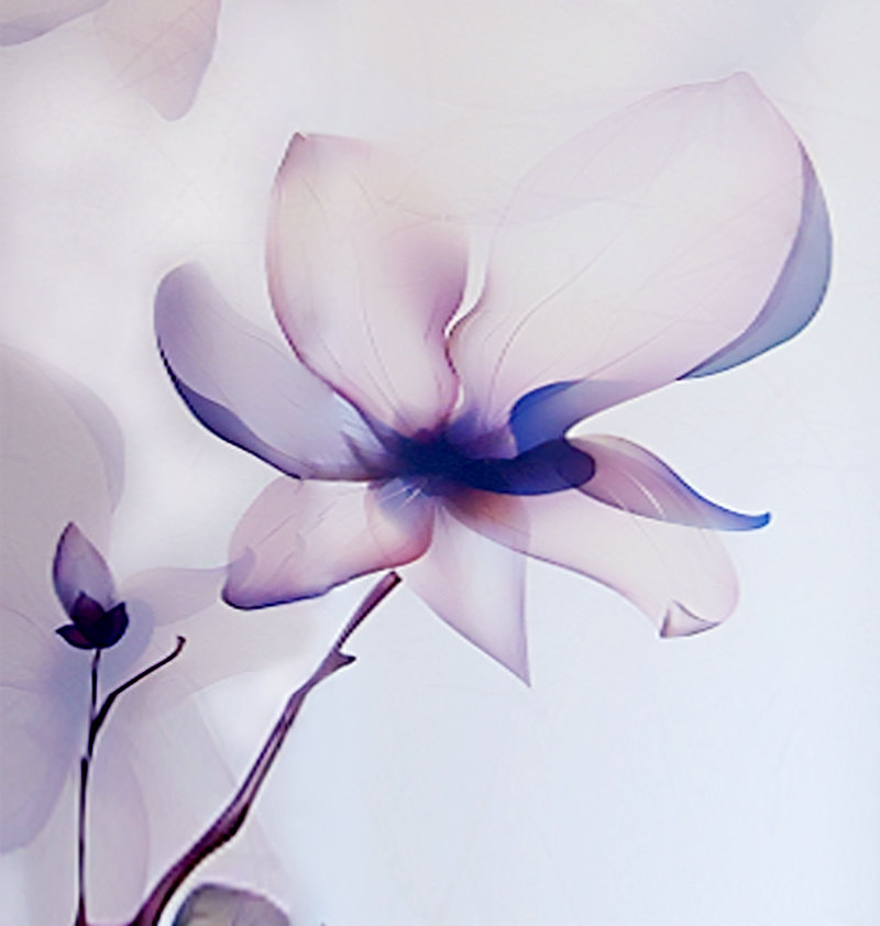 黄岐山个人资料 黄岐岛风景区