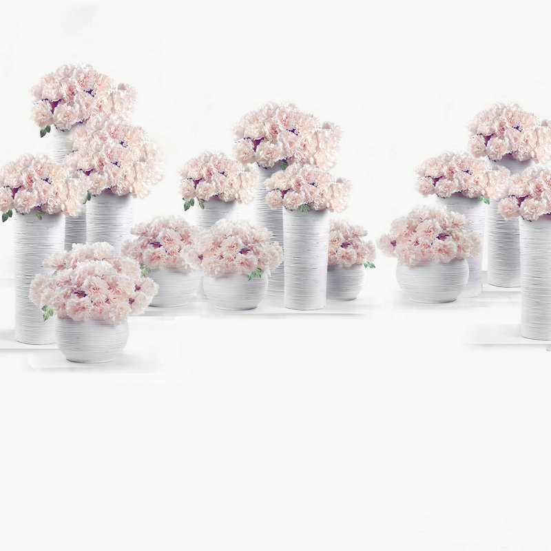 罗浩第一妻子照片（被赞誉“民歌天后”的宋祖