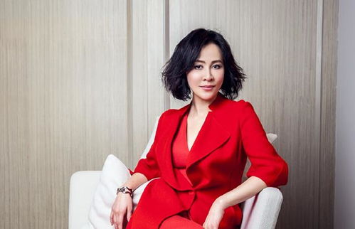 黄晓明的电视剧_黄晓明电视剧作品