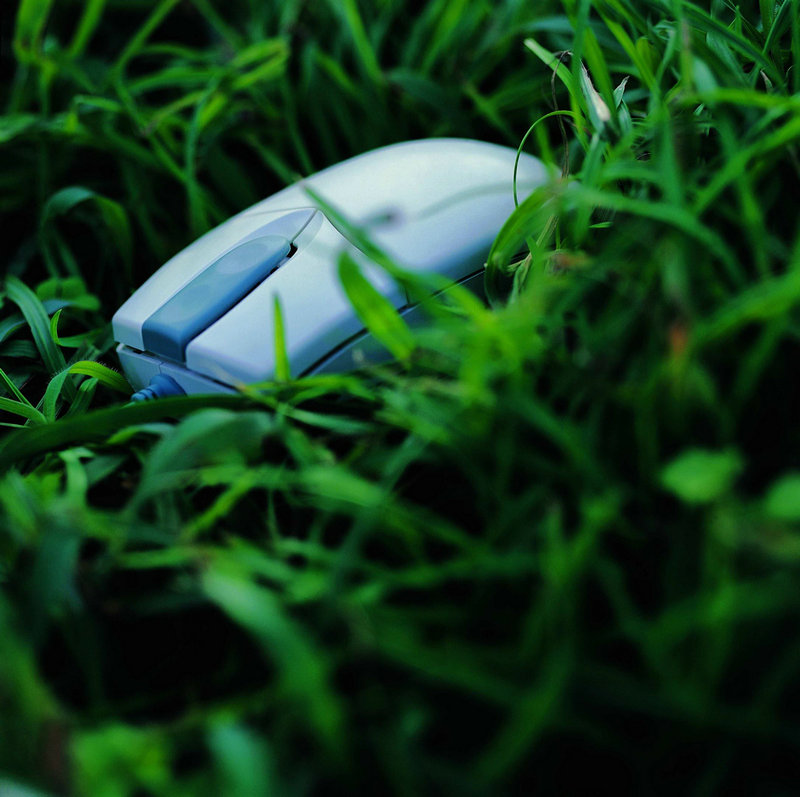 重案六组演员王茜现状 重案六组演员王茜现状