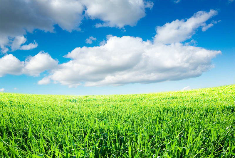 杨超越多大了 杨超越多大出道的