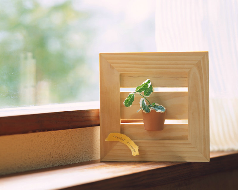 喜爱夜蒲主题曲卫兰 喜爱夜蒲主题曲叫什么名字