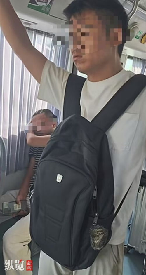 丁丁挑战杨坤完整版(丁丁是否和杨坤有地下情 丁丁挑战杨坤完整版(丁丁是否和杨坤有地下情