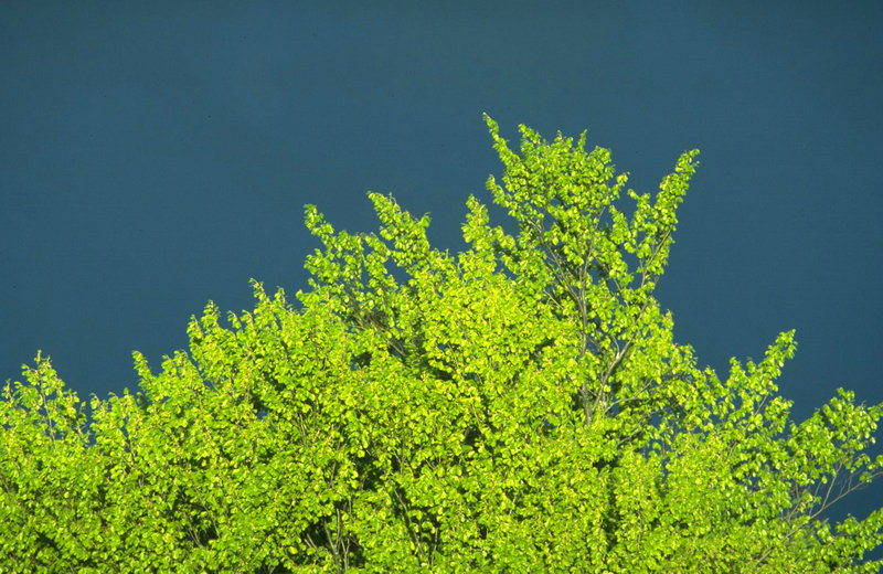 奶粉事件 最近奶粉事件新闻报道