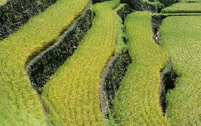 常温超导 常温超导体实现了吗