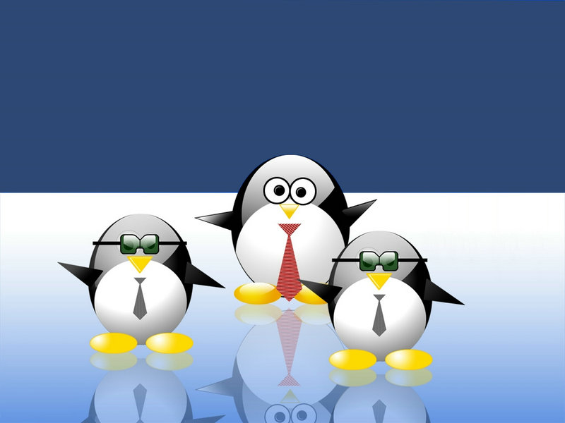 经历了笔仙事件 才敢告诉你 好奇真的会害死猫