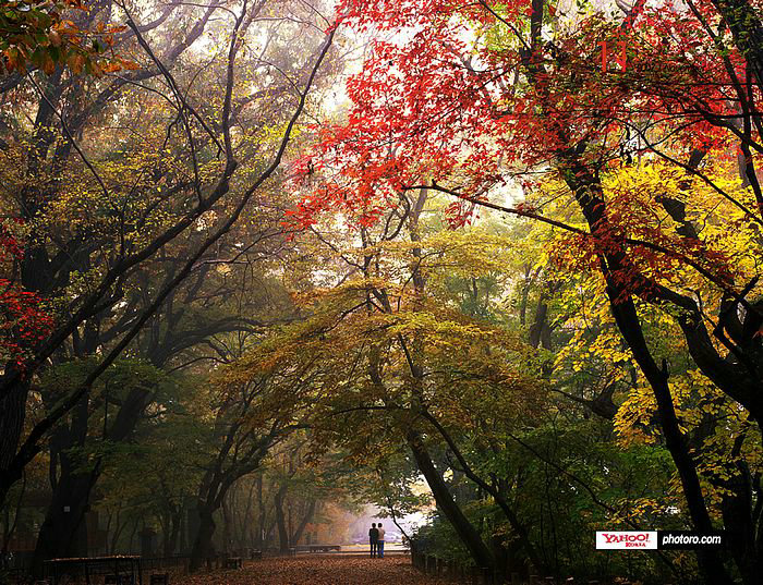孕妇得了麦粒肿怎么办