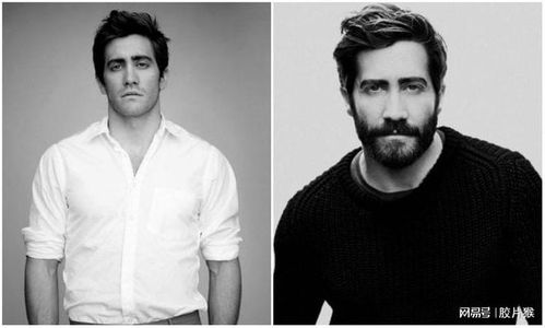 紧凑型排行榜_紧凑型排行榜第一名