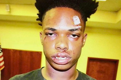 制作简历的app简历app制作软件 制作简历的app简历app制作软件