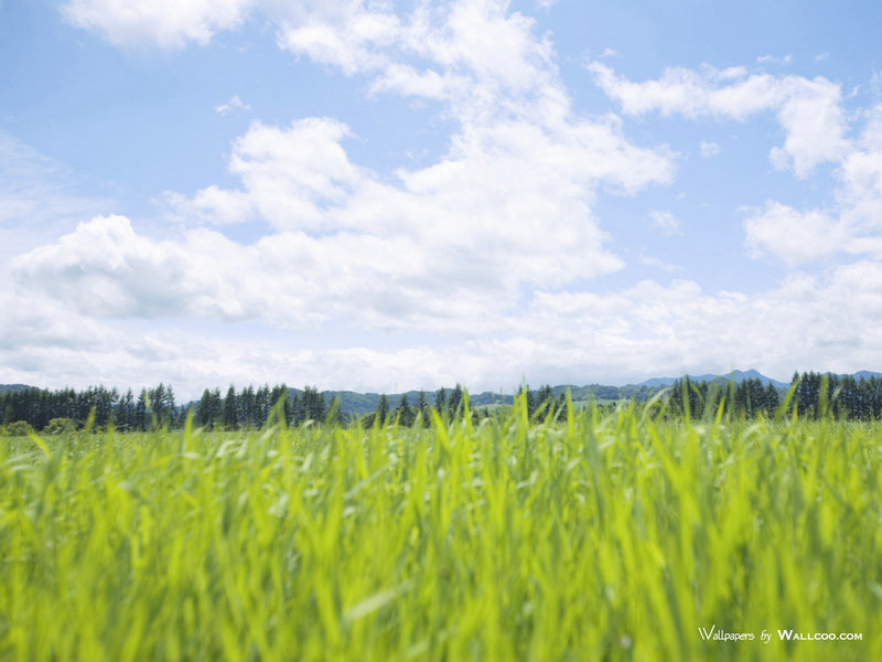 武则天是入寺为尼 还是被金屋藏娇 武则天是入寺为尼 还是被金屋藏娇