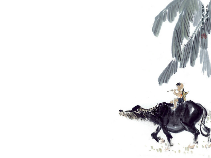 东莞扒衣门(东莞扒房)