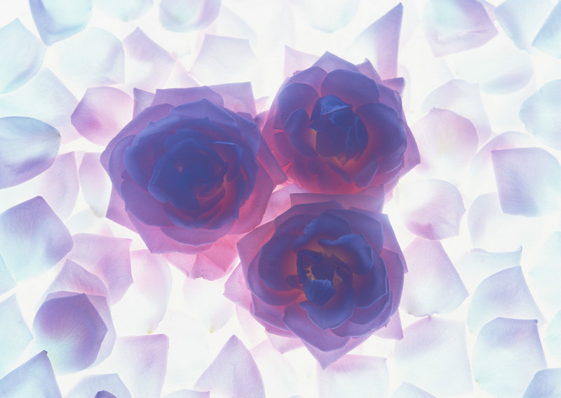 小舍得的演员介绍（蒋欣的角色最难演）