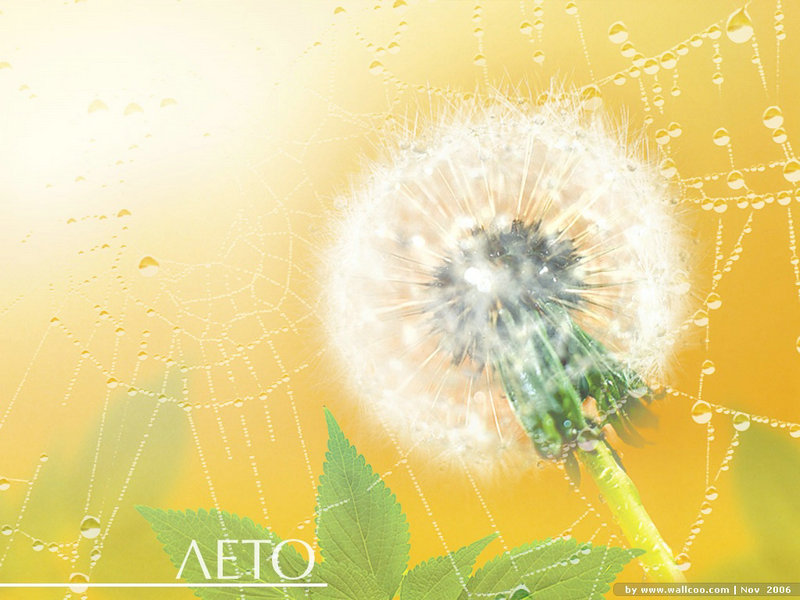 歌舞青春卡司重聚 歌舞青春 主题曲