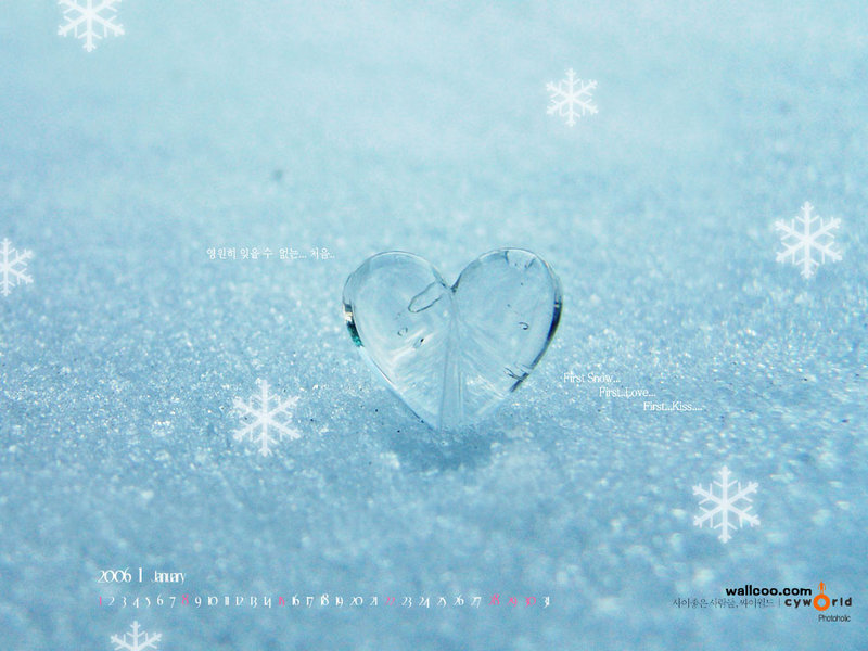 赵亮老婆个人资料简介