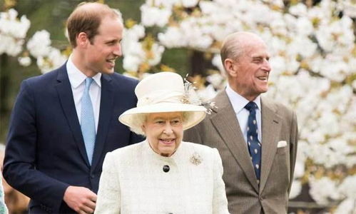 蒙古国送的3万只羊果然要来了!最后止论曝光网 蒙古国送的3万只羊果然要来了!最后止论曝光网