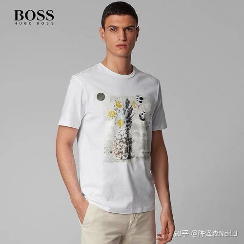 王宝强个人资料大闹天竺