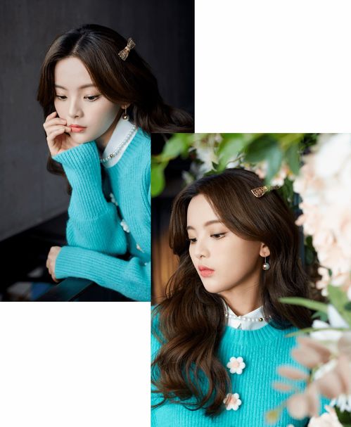 乡村爱情导演有哪些 乡村爱情导演表