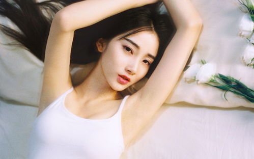 芭比之圣诞颂歌 芭比之圣诞欢歌免费观看中文版