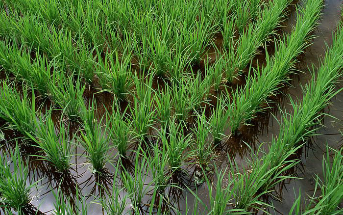 庾澄庆十大经典歌曲排行榜 庾澄庆十大经典歌曲排行榜