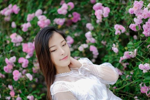 考古学家首次确认发现商鞅变法发生地在秦都栎 考古学家首次确认发现商鞅变法发生地在秦都栎