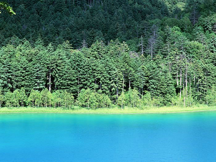 美国黄石公园火山爆发,美国黄石公园火山爆发对