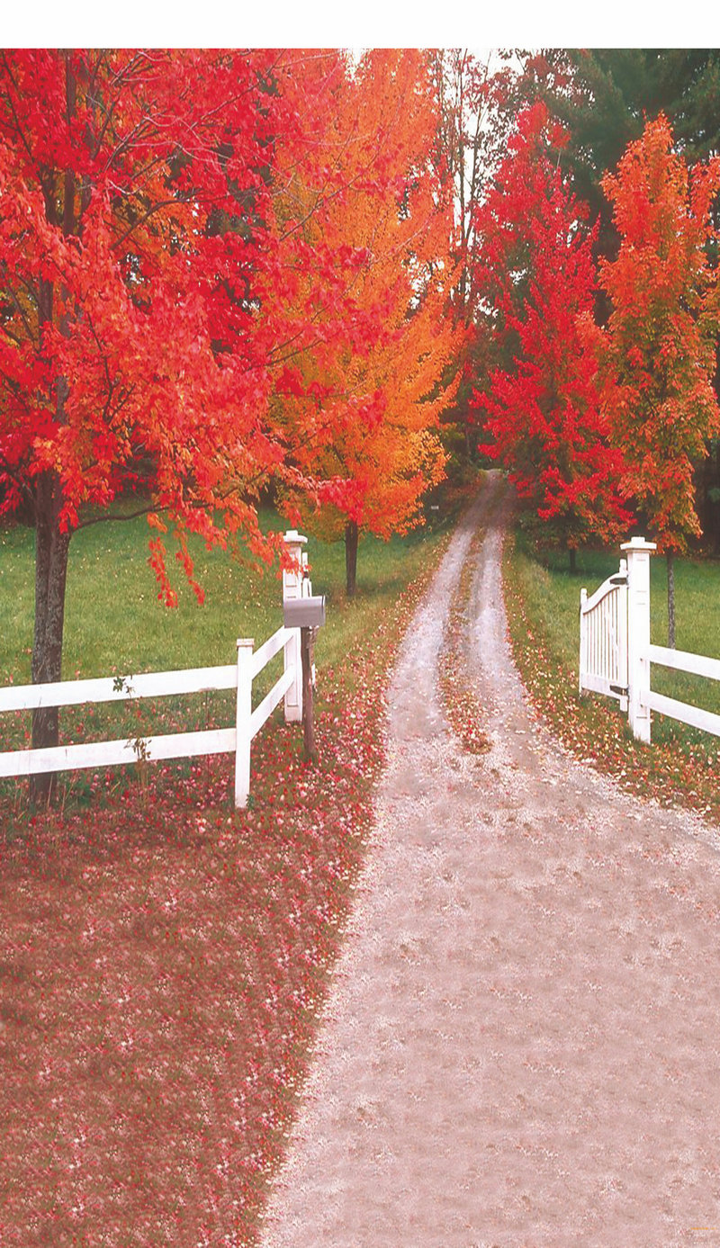 演员朱时茂个人资料简介